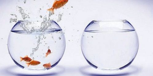 Is ontevredenheid het nieuwe opium onder het volk? Is ontevredenheid het nieuwe opium onder het volk?