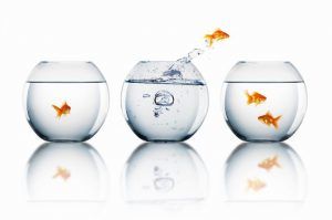 Verandermanagement door John Kotter Verandermanagement door John Kotter