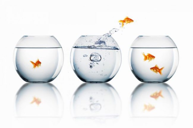 Verandermanagement door John Kotter