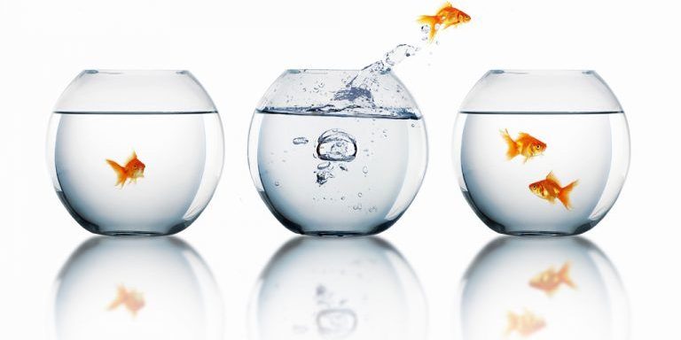 Verandermanagement door John Kotter