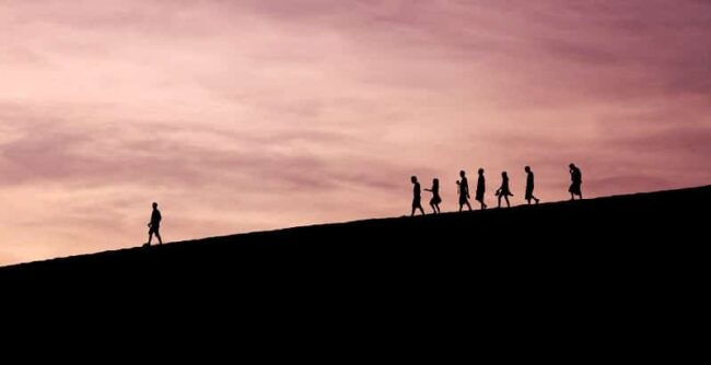 Management & Leiderschap groei