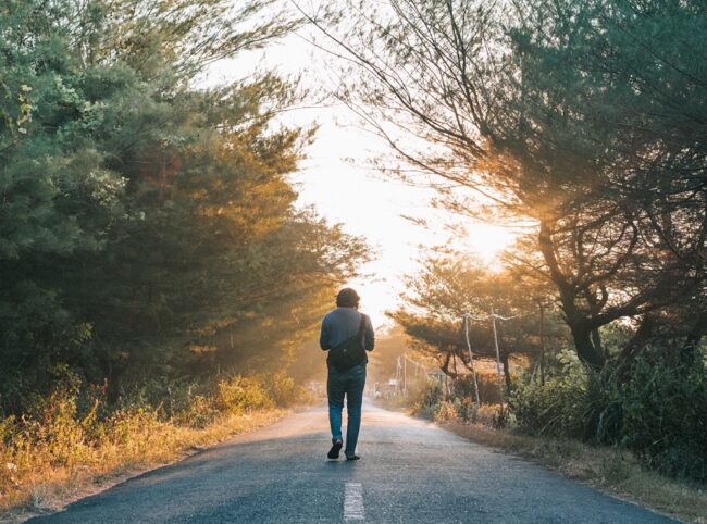 natuur wandeling bos
