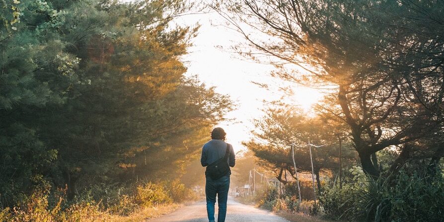 natuur wandeling bos