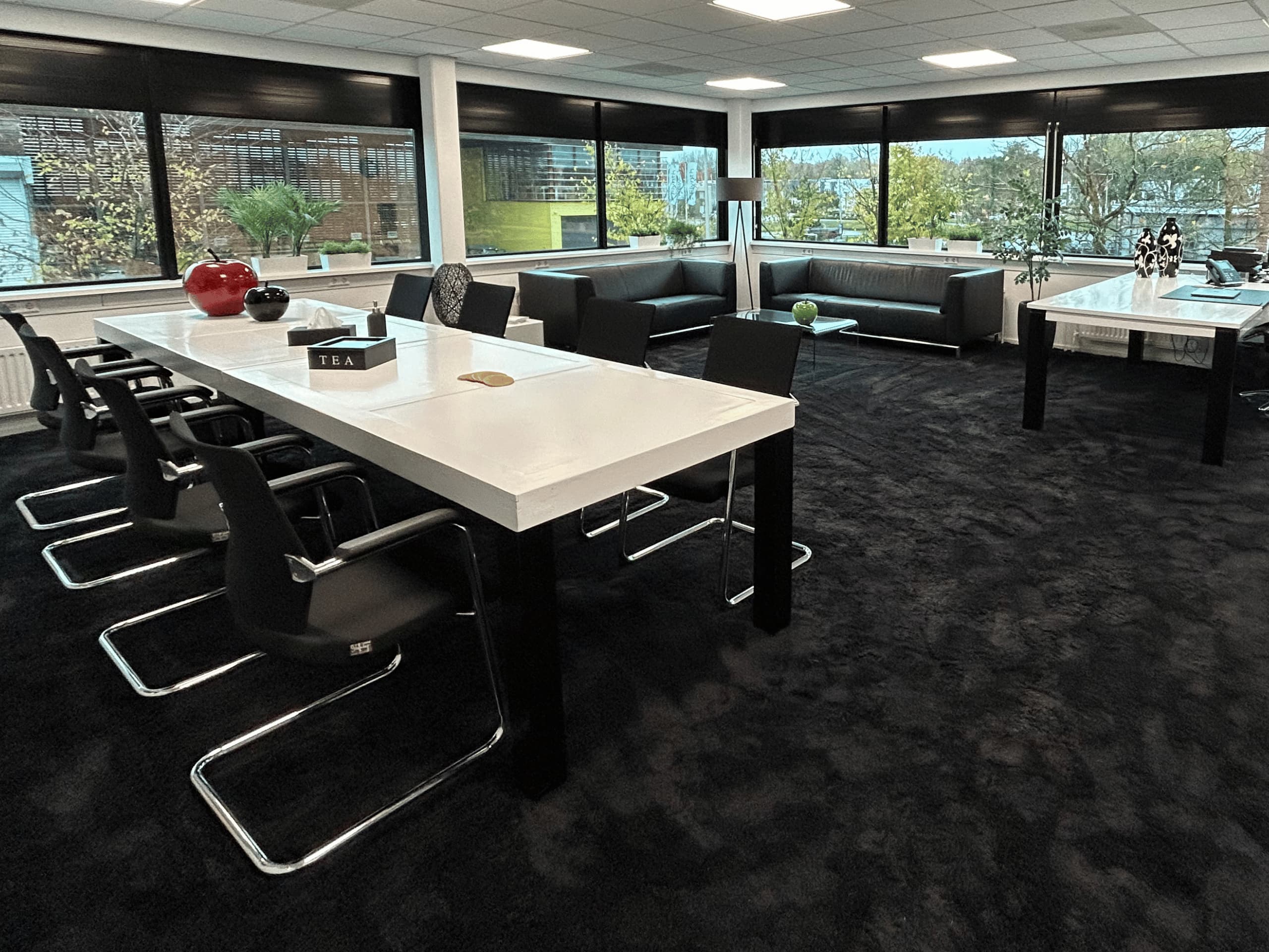 albert einstein directie en vergaderkamer Office Lease Ridderkerk